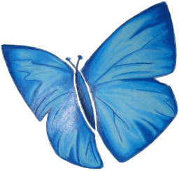 Azulita butterfly logo